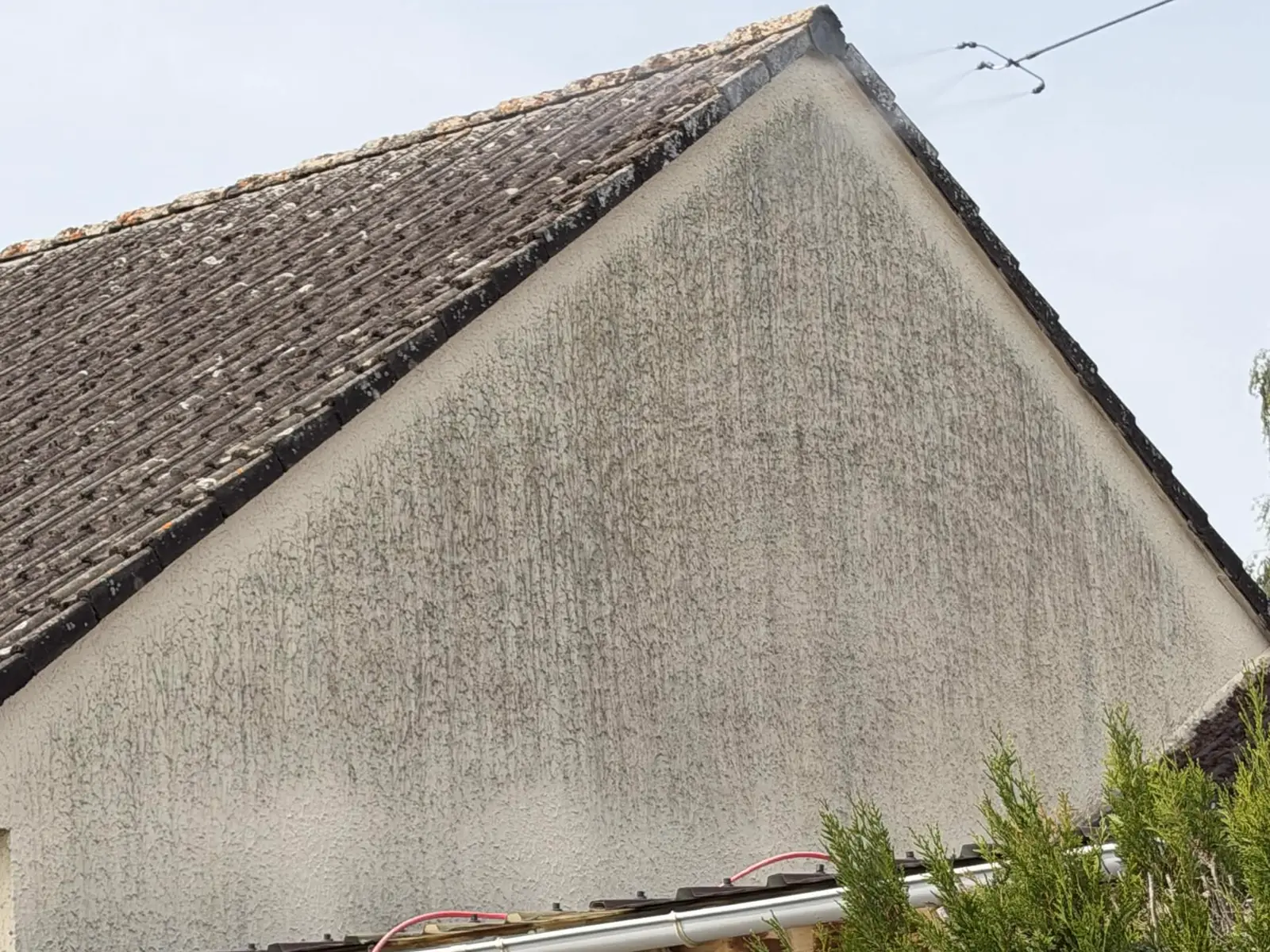 Avant nettoyage façade