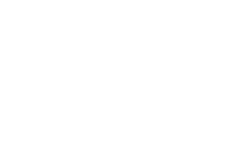 Flight Academy